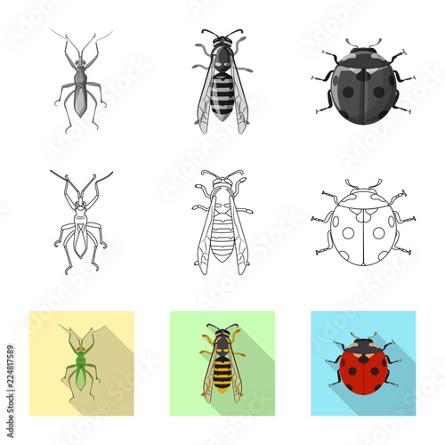 Isolated object of insect and fly sign. Set of insect and element stock symbol for web.