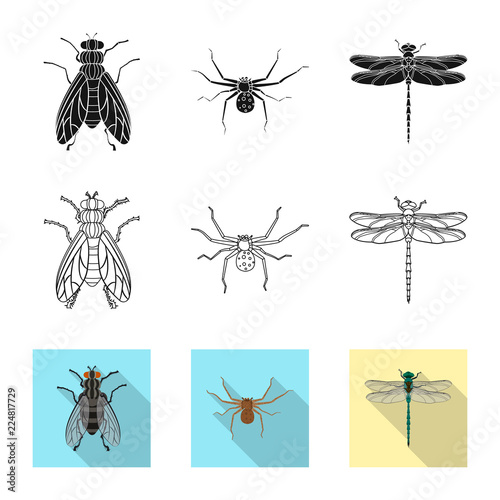 Vector design of insect and fly sign. Set of insect and element stock symbol for web. © Svitlana
