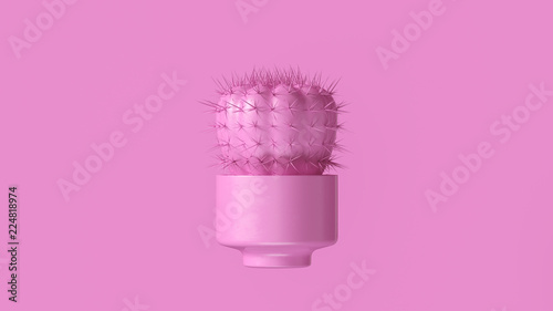 Pink Cactus with Pink Plant Pot