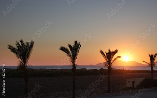 sunset at sea and silhouettes of palm trees on KOs island in Greece on a warm summer day