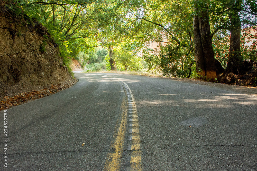 Curve In The Road Curve In The Road