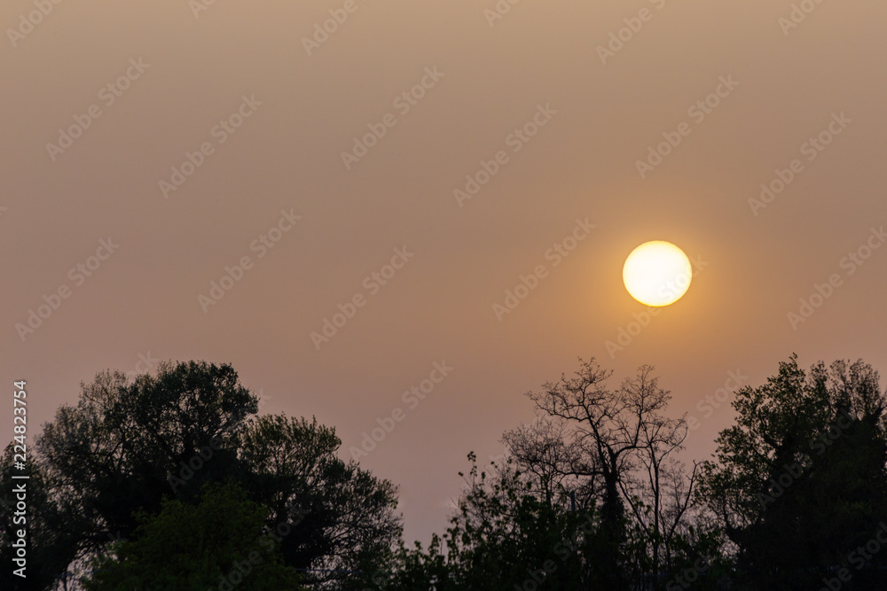 Sunset with sand suspended in the atmosphere, coluring the sky red, over some trees silhouettes