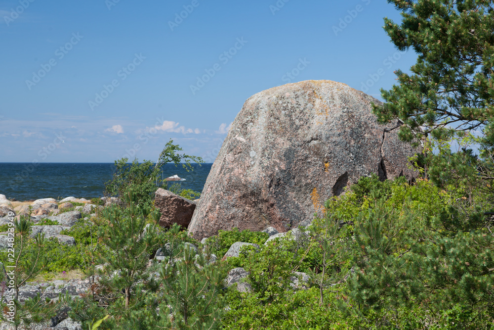 A huge granite boulder on Cape Purekkari in Estonia