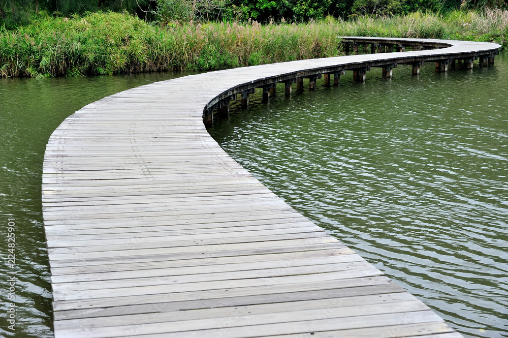 Fototapeta premium Wooden walk way