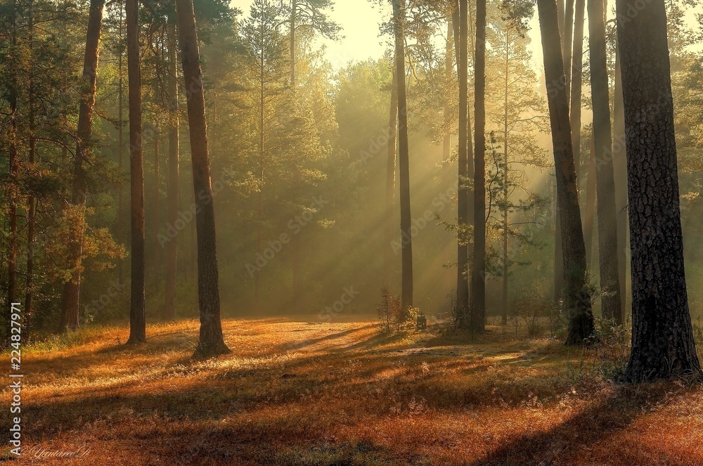 Obraz premium Начало осени.