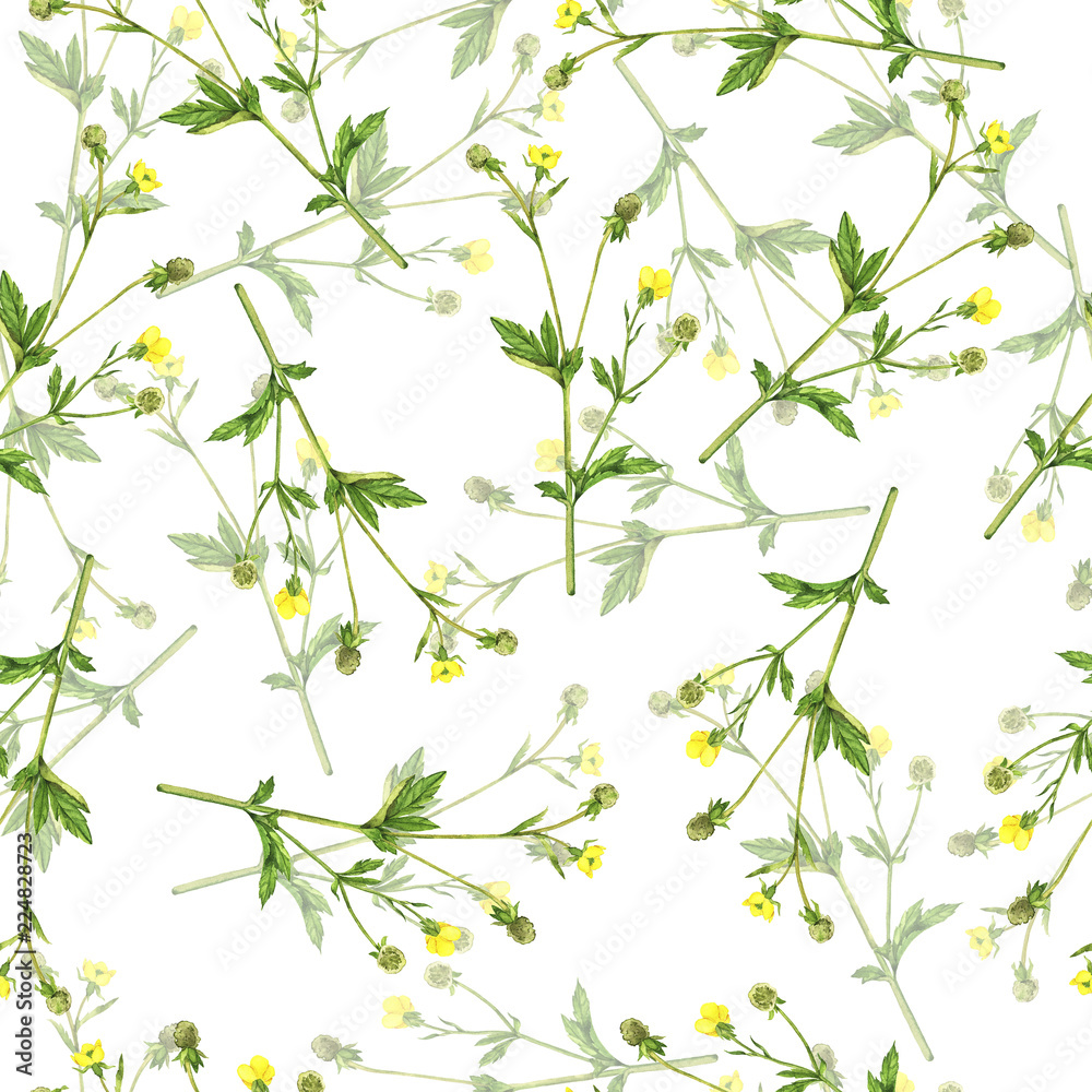 Seamless pattern with summer yellow flowers on white background. Hand drawn watercolor illustration.