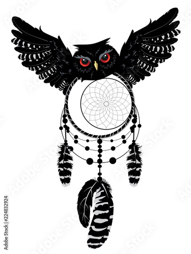Owl with dreamcatcher