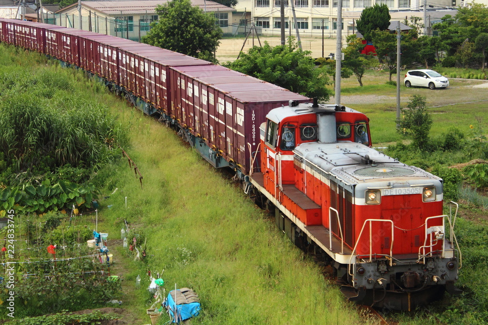 Naklejka premium 焼島貨物線 DE10