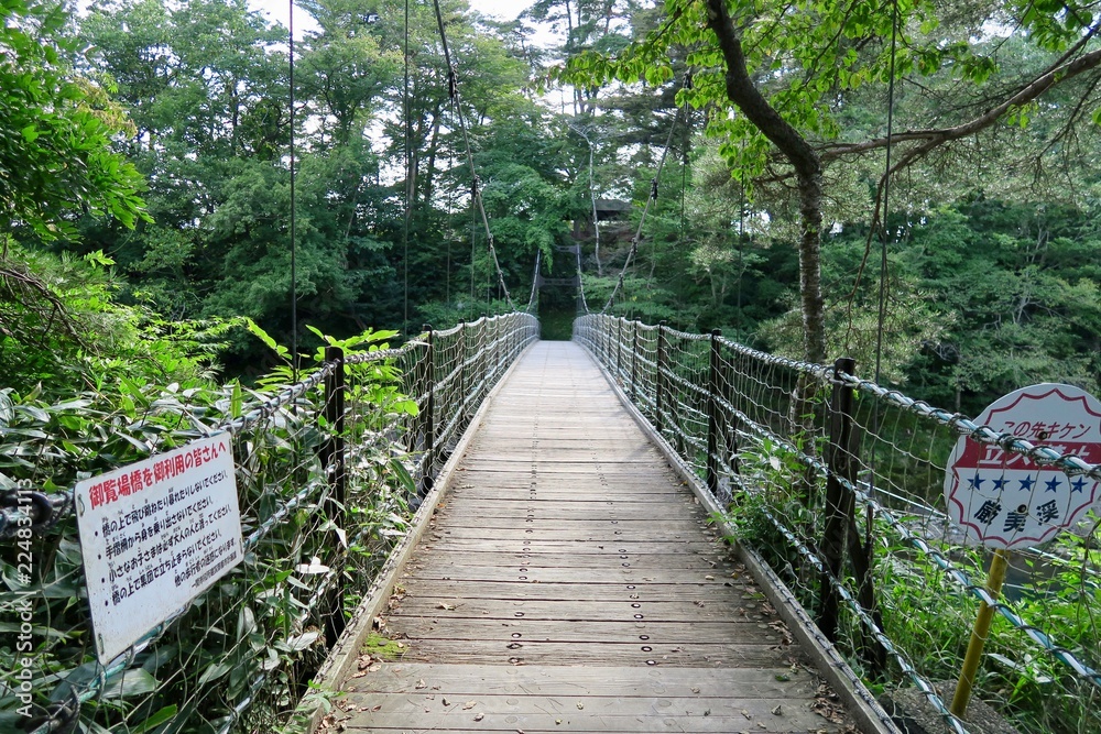 Obraz premium 厳美渓 吊り橋