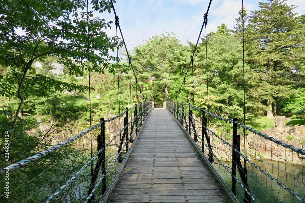 Fototapeta premium 厳美渓 吊り橋