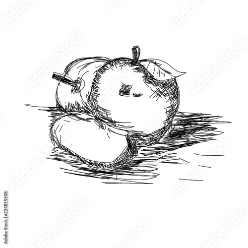 apple sketch drawing
