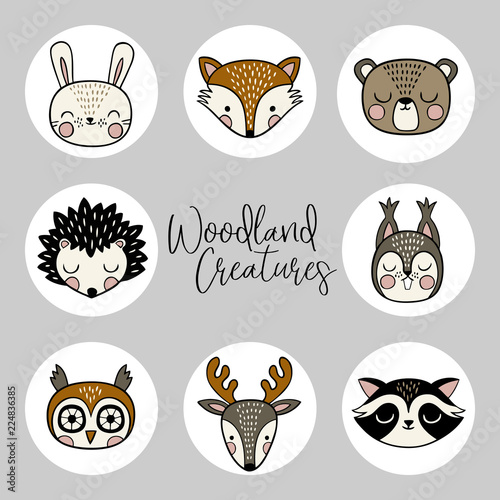 A vector set of hand drawn cute woodland animals. Perfect for stickers, tee shirt logo, greeting card, poster, invitation, print design. 