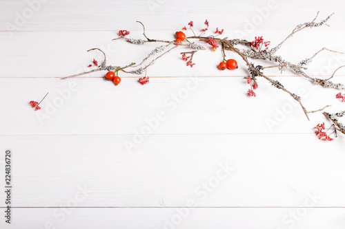 Christmas, New Year or Autumn background, flat lay composition of Christmas natural ornaments and fir branches, berries, rose hips and winter branches covered with moss, empty space for greeting text