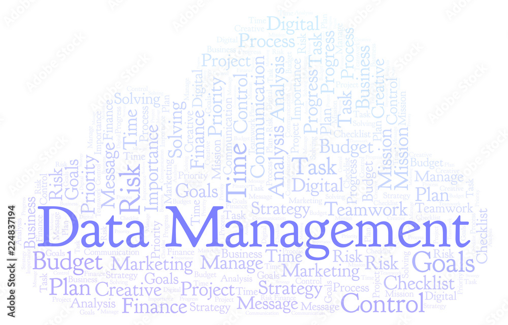 Obraz premium Data Management word cloud, made with text only.