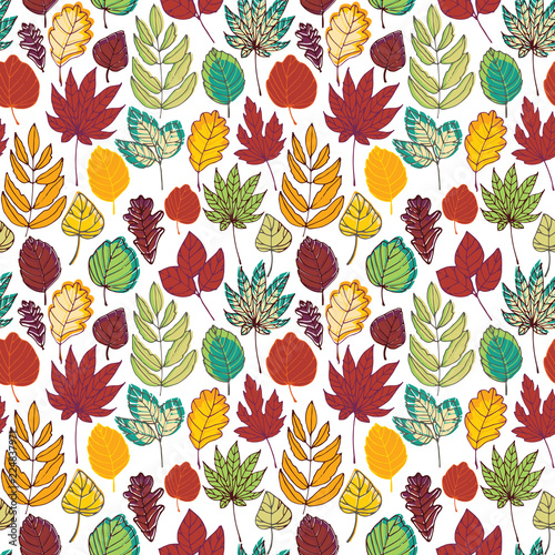 Different autumn leaves on a white background. Seamless pattern.