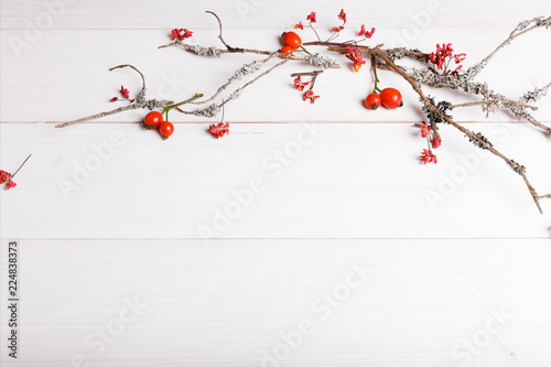 Christmas, New Year or Autumn background, flat lay composition of Christmas natural ornaments and fir branches, berries, rose hips and winter branches covered with moss, empty space for greeting text