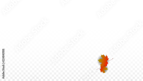 September Vector Background with Golden Falling Leaves. Autumn Illustration with Maple Red, Orange, Yellow Foliage. Isolated Leaf on Transparent Background. Bright Swirl. Suitable for Posters.
