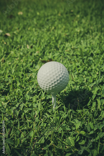 Golf, ball on green grass