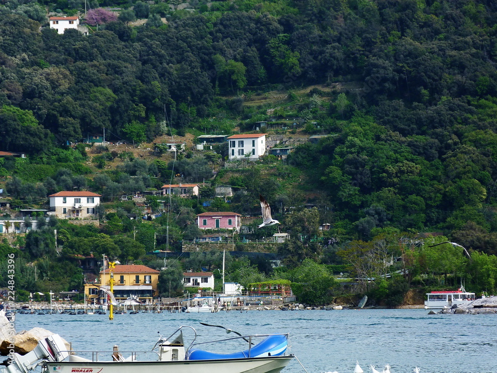 Italy, Bay of Portovenere