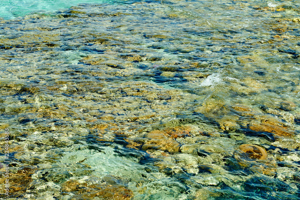Coral reef on the Red Sea Eilat, September 2018 Coral reef on the Red Sea Eilat, September 2018