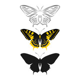 butterfly logo icon design template vector