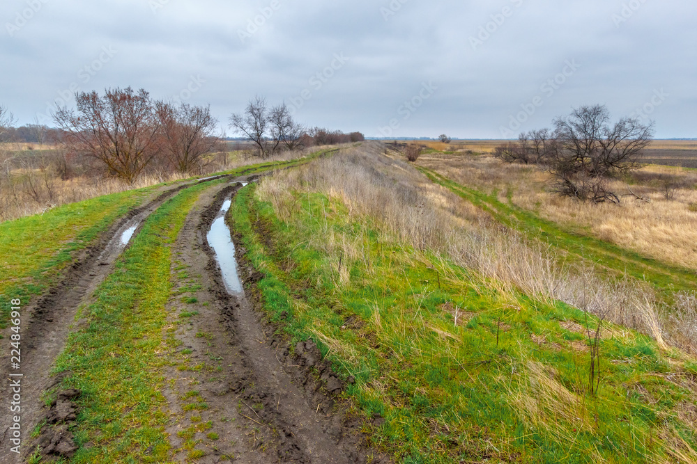 The rural muddy road in the spring field with puddles and the car trail The rural muddy road in the spring field with puddles and the car trail