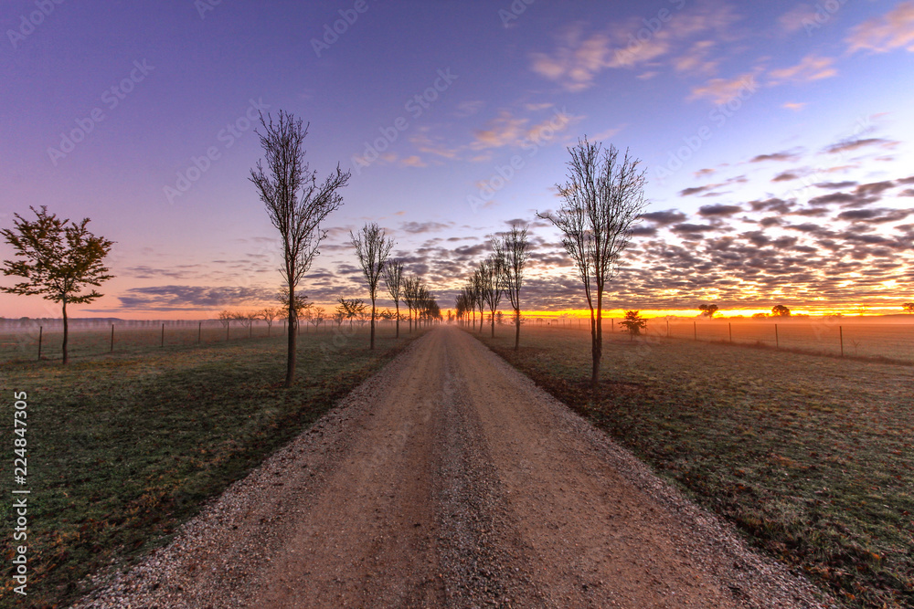 Country dirt road leading to colourful sunrise