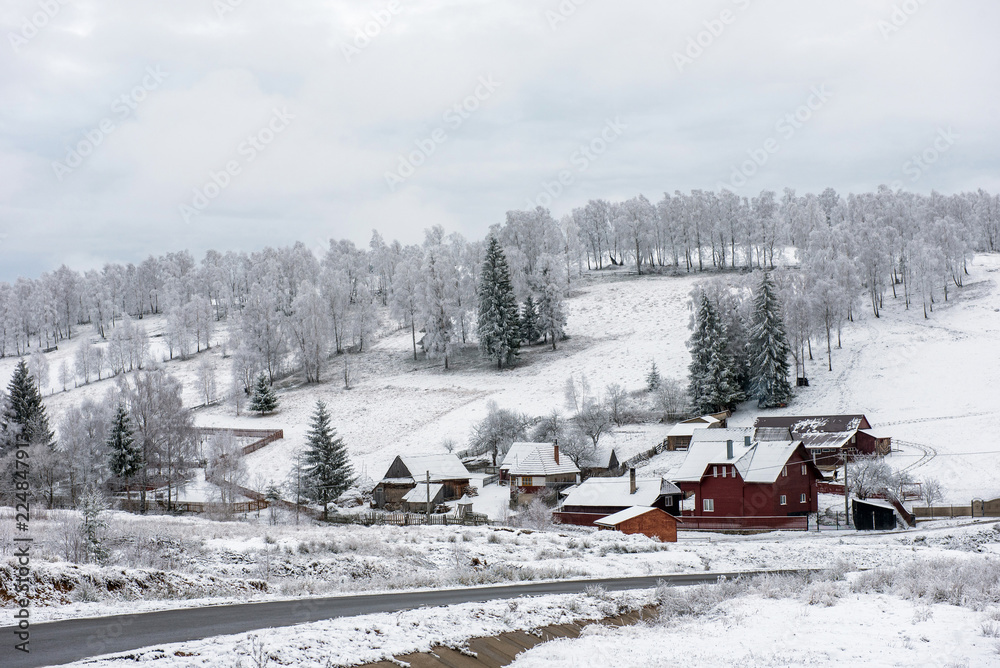 Winter mountain village landscape