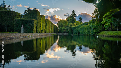 High hedge, clouds and its reflection in the pond at the Oliwa Park in the 