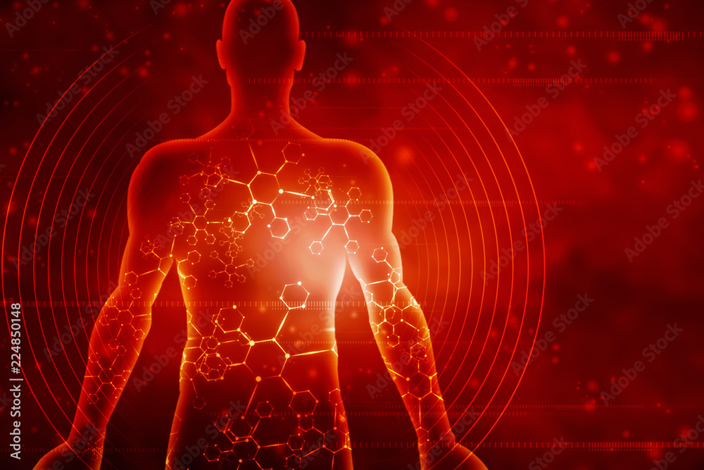 2d illustration Human Male Muscle Body