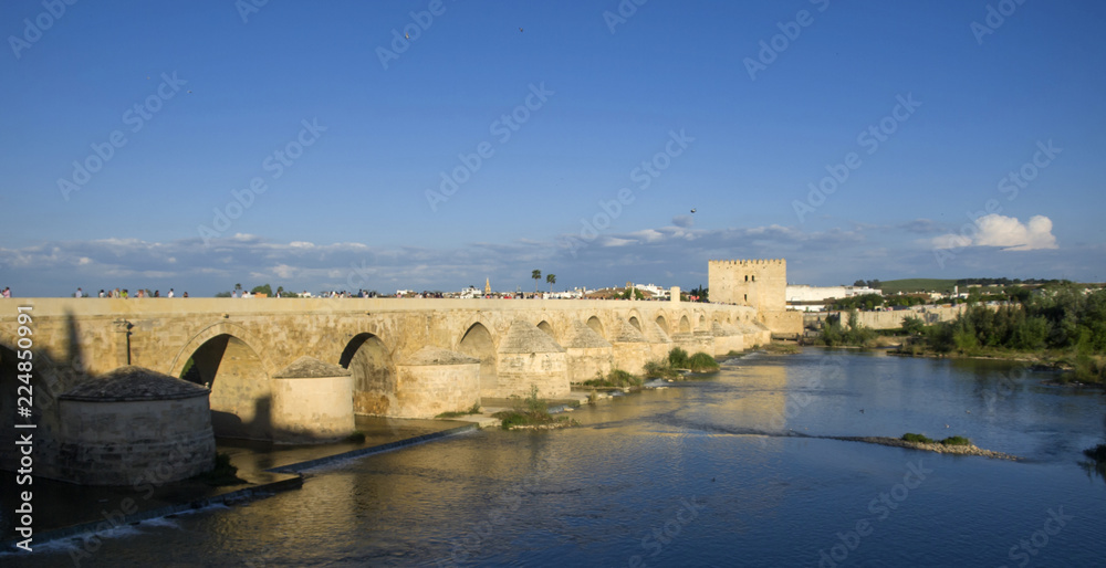 Puente Romano y Torre de la Calahorra / Roman Bridge and the Calahorra tower. Córdoba
