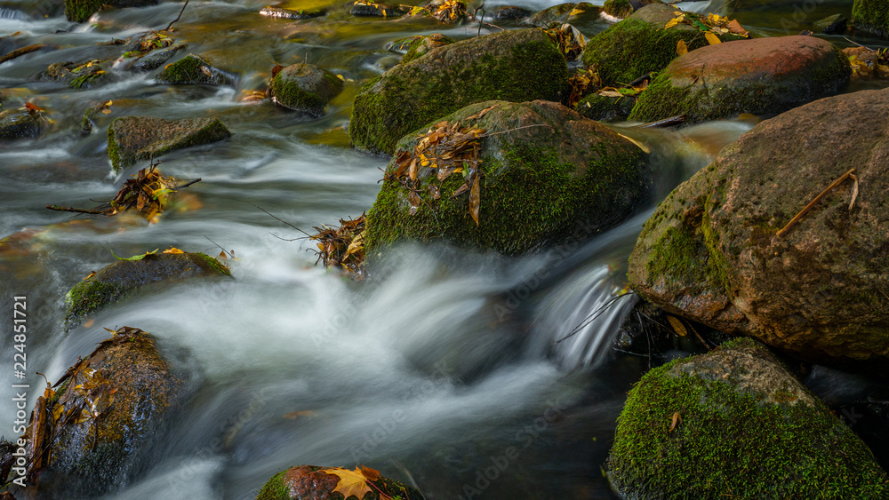 Water stream with stones in the park. Close up. Water stream with stones in the park. Close up.