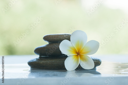 Spa flower and stones outdoors with sunlight