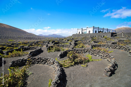 Lanzarote - The Wine Route / Canarias ( Spain ) photo