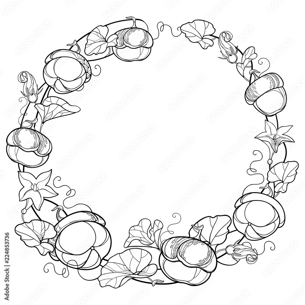 Vector round wreath with outline Pumpkin vine with flower, ornate leaf