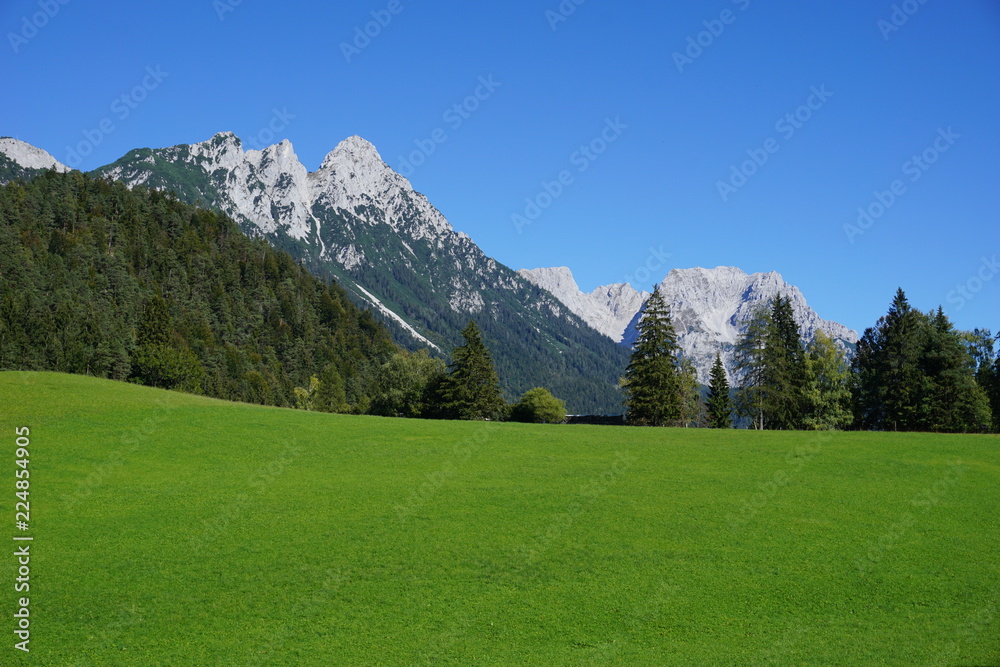 Kaisergebirge und grüne Wiese, blauer Himmel, Tirol, Austria