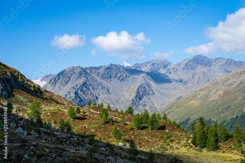 Idyllic view of Adamello Brenta National Park  South Tyrol   Italy