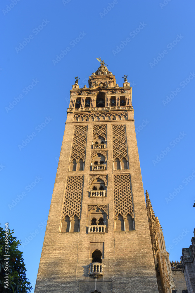 view of the tower of the cathedral of Seville, called La Giralda, in Seville, Andalucia. Spain