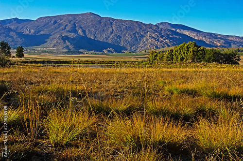 Landscape of grassland with Hex River Mountains © geoffsp