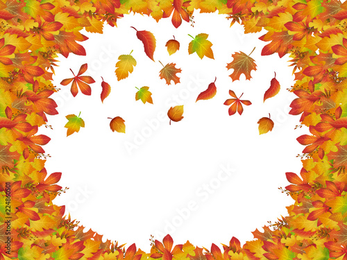 Autumn colorful frame with falling leaves. Golden autumn. different leaves isolated on a white background