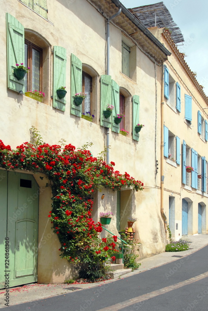 Ville de Pézenas, façade colorée, volets verts et bleus, rosier grimpant rouge sur le mur,département de l'Hérault, France