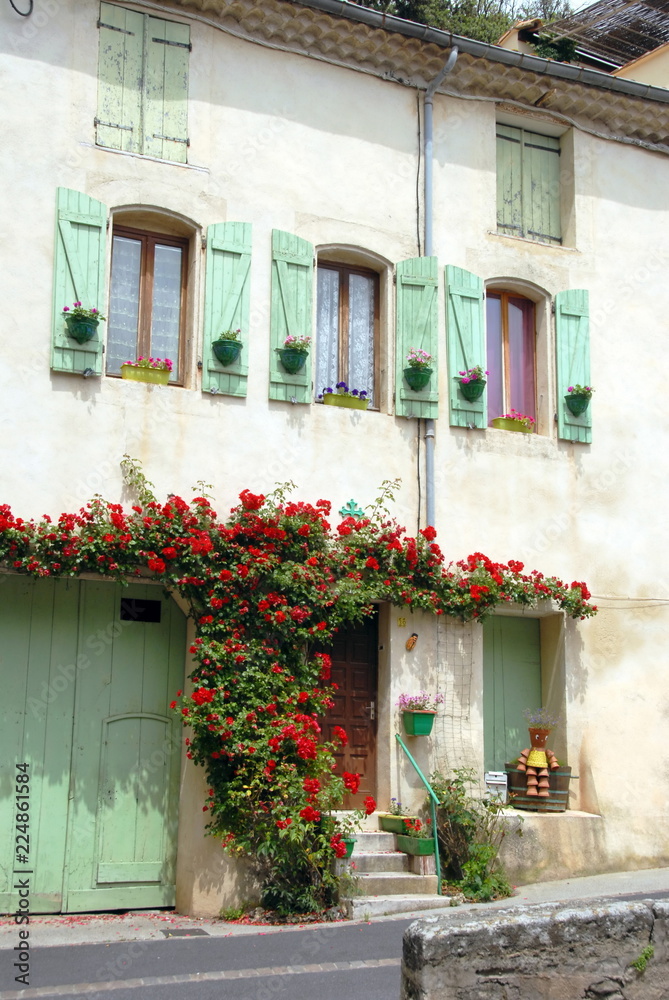 Ville de Pézenas, maison fleurie, porte et volets verts, escalier de pierre, rosier grimpant rouge sur la façade, département de l'Hérault, France