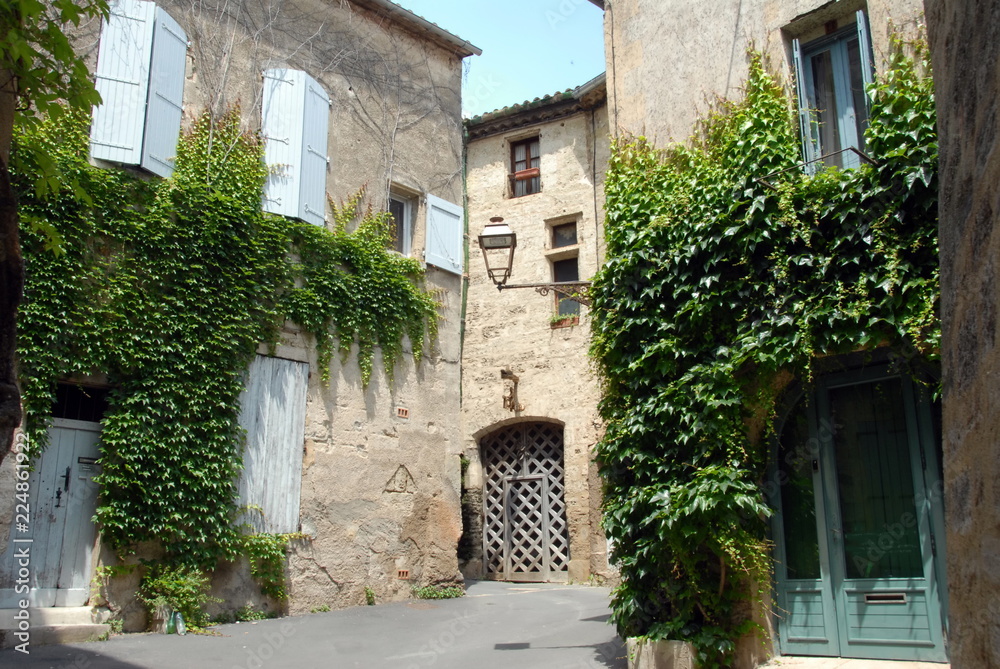 Ville de Pézenas, vieille ruelle du centre historique, vigne vierge grimpe sur les murs, département de l'Hérault, France