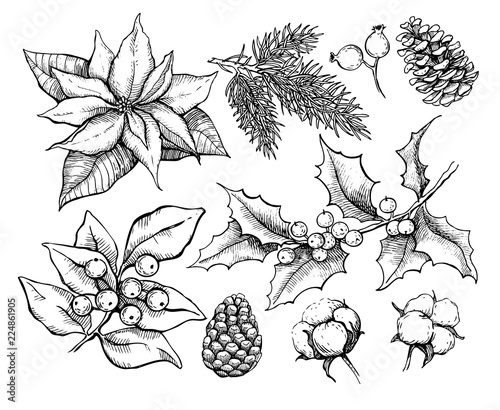 Christmas traditional plans. Vector drawing  illustration of hol