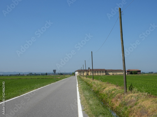 Countryside near Vercelli, Italy, at summer