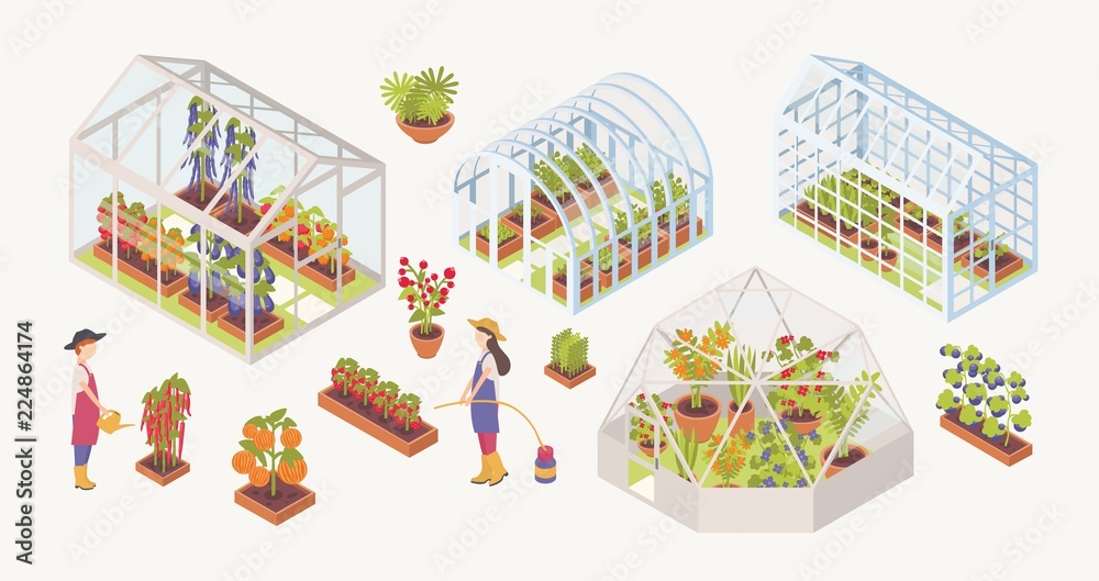 Bundle of various glass greenhouses with plants, flowers and vegetables growing inside, gardeners, farmers or agricultural workers isolated on white background. Colorful isometric vector illustration.
