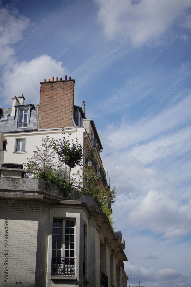 Fototapeta premium old French building with blue sky