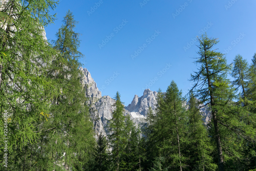 Idyllic view of Adamello Brenta National Park, South Tyrol / Italy