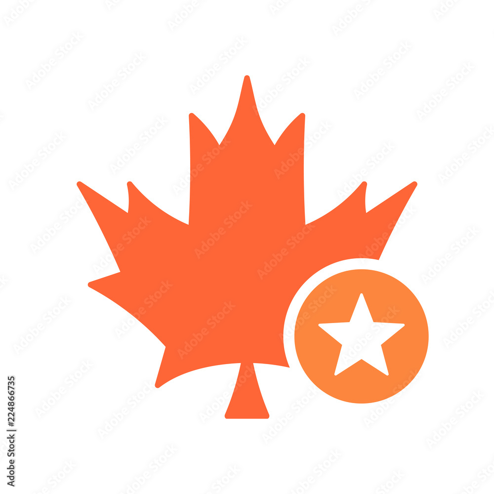 Maple leaf icon, Nature leaves icon with star sign. Maple leaf icon and best, favorite, rating symbol Maple leaf icon, Nature leaves icon with star sign. Maple leaf icon and best, favorite, rating symbol