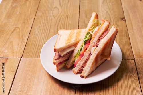 Close-up of fresh sandwich
